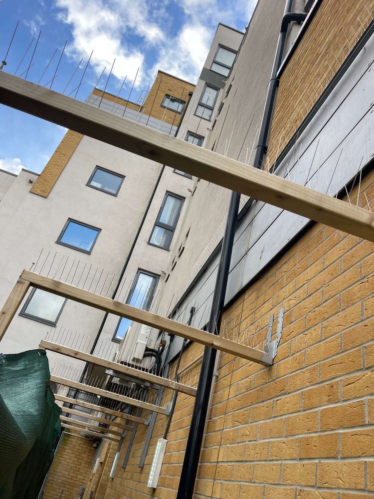 Bird spikes fitted along the timber brackets of a block of flats