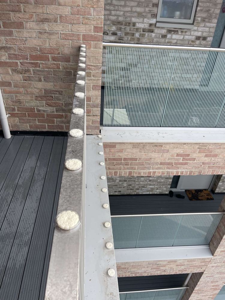 Bird fire gel dishes along a ledge beside a glass balcony