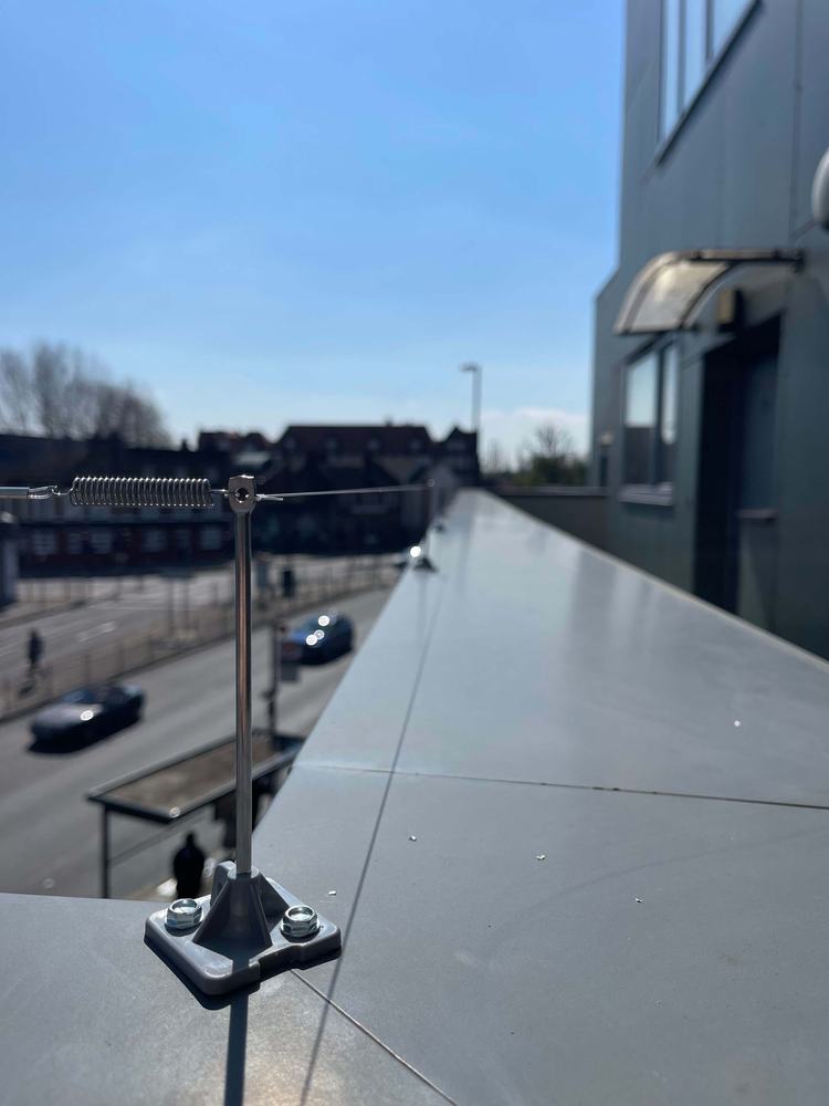 Pin and wire bird proofing along a parapet