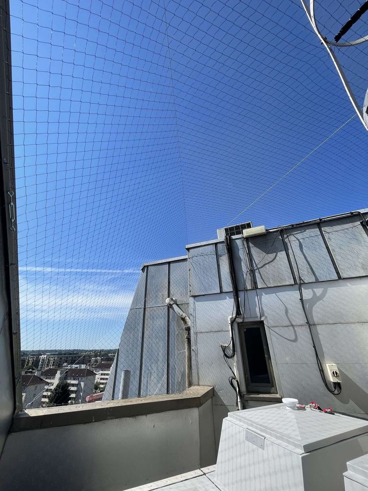 Netting stretched over a rooftop against a blue sky