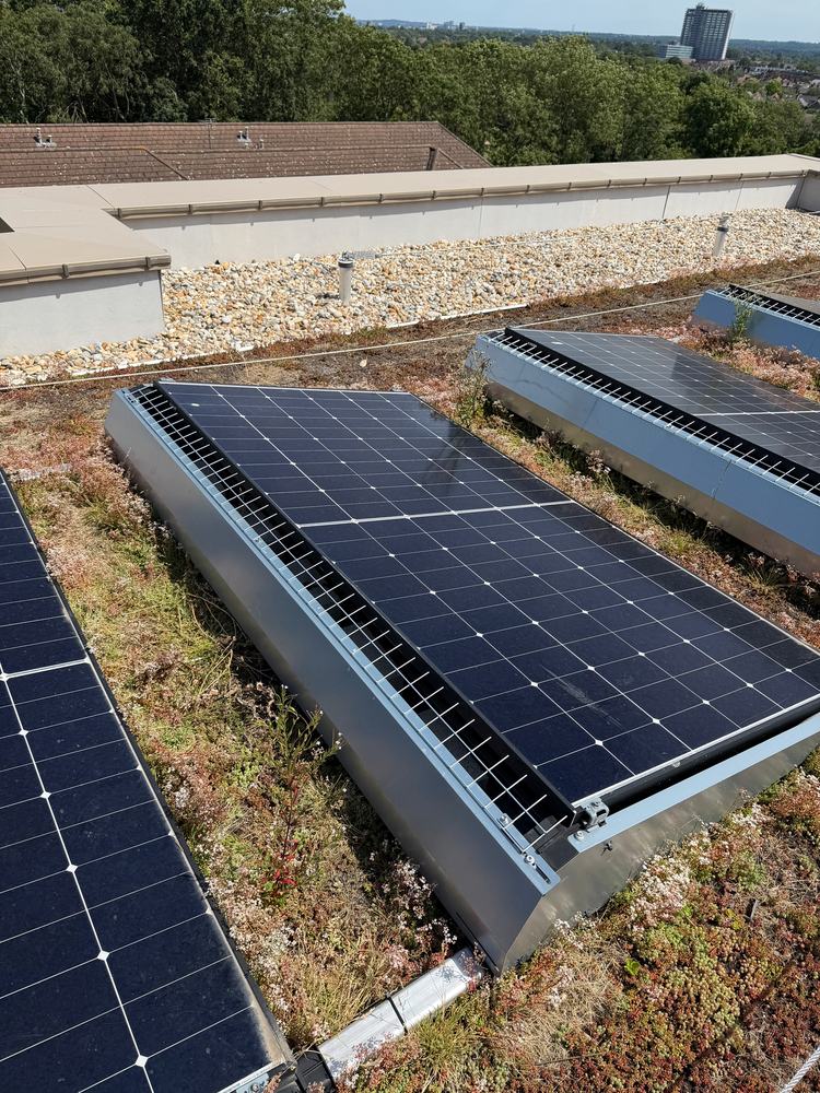 Rows of solar panels on a commercial roof