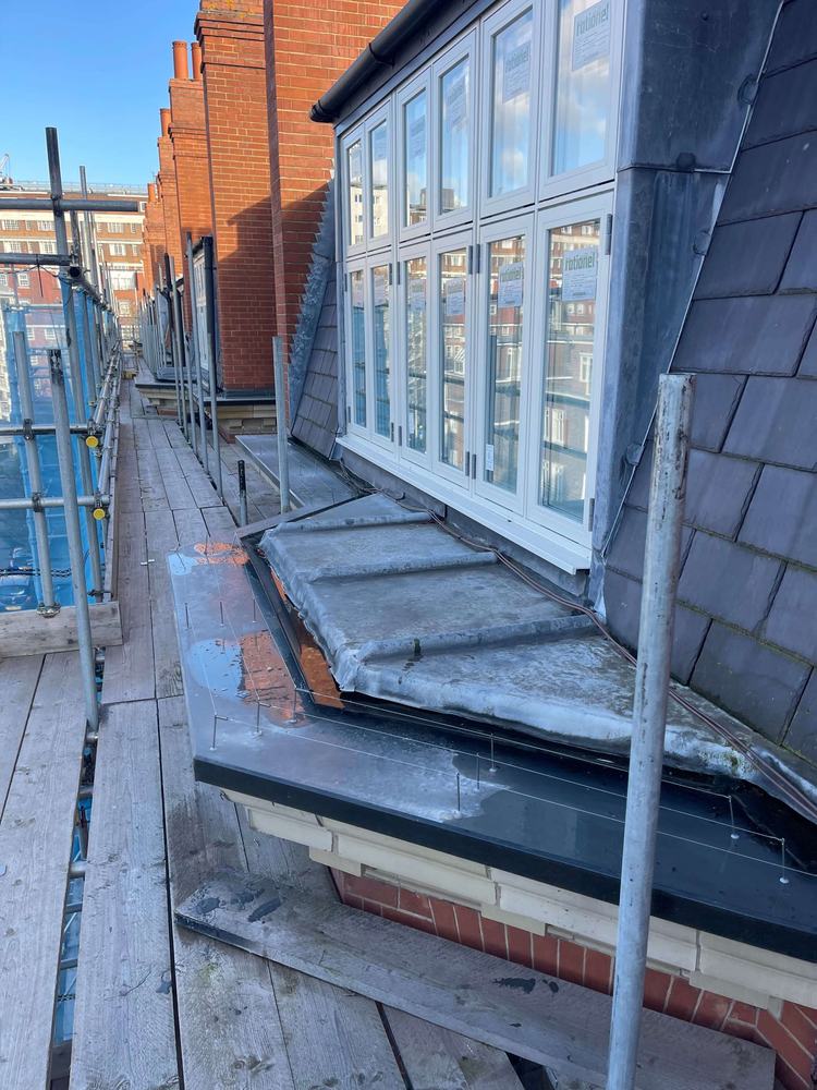 Pin and wire bird proofing on a window ledge