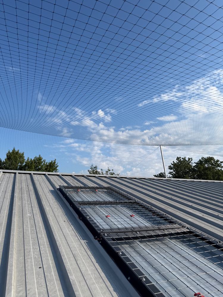 Bird netting over a roof with skylights