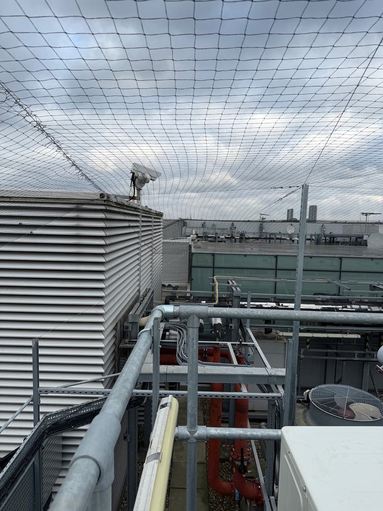 Bird netting over rooftop pipework and plant