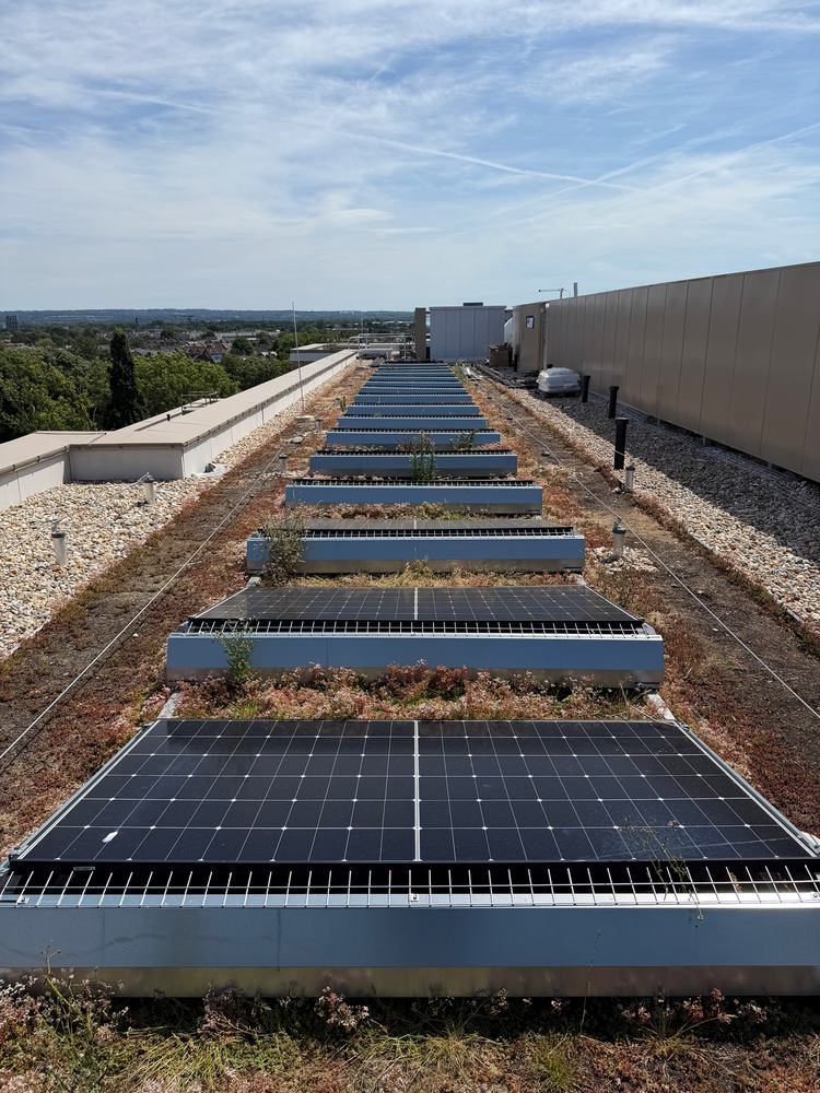 Rows of solar panels on a green roof