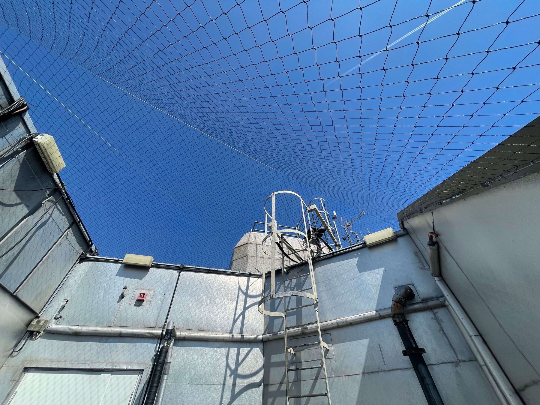 Bird netting over rooftop plant and an access ladder